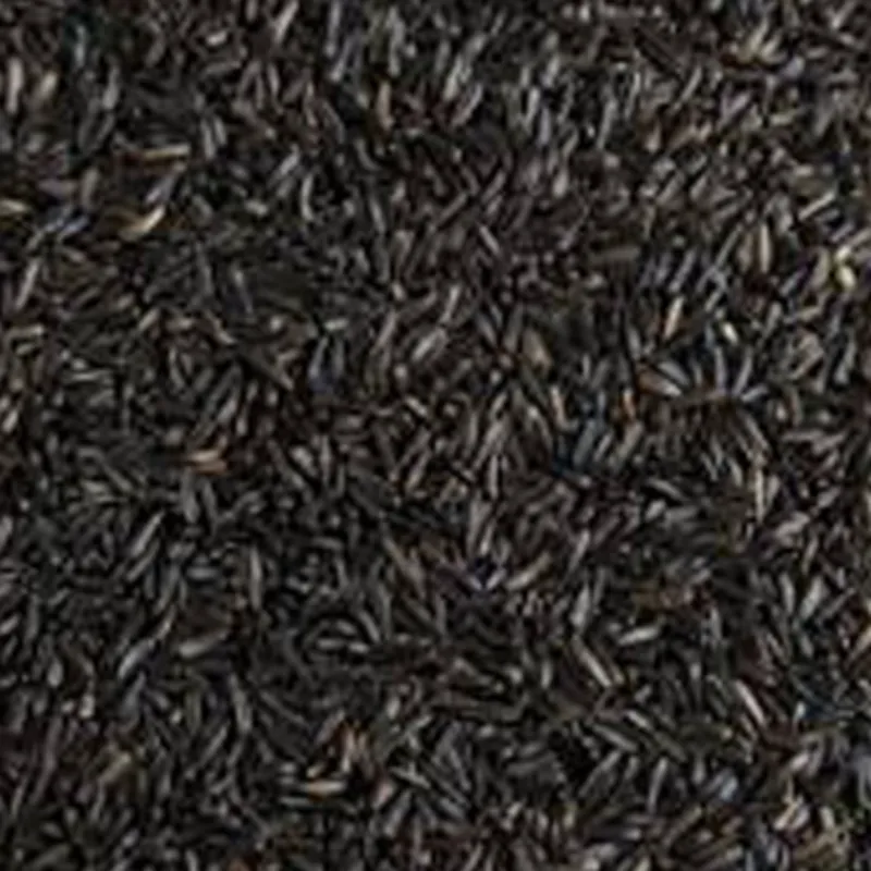 Colonels Niger Seed 20KG